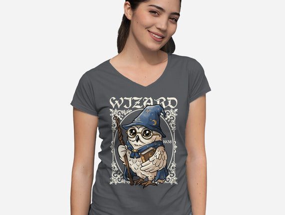 Owl Wizard Merlin