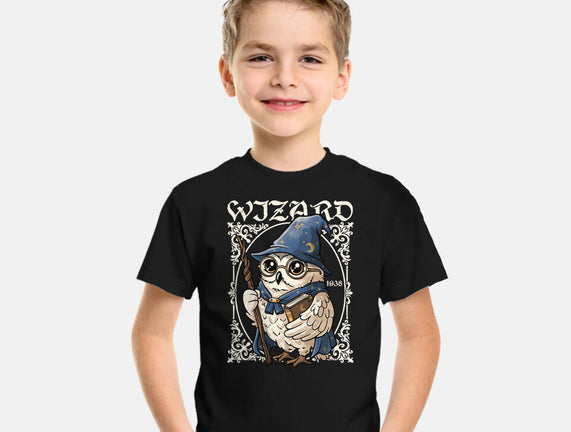 Owl Wizard Merlin