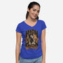 High On Catnip-Womens-V-Neck-Tee-Popnotic