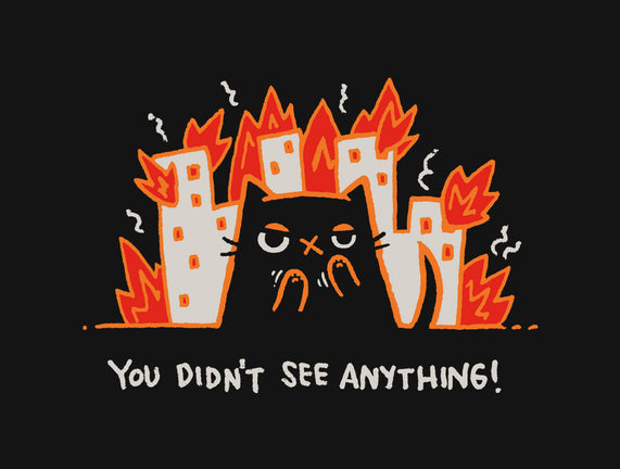 Didn't See Anything