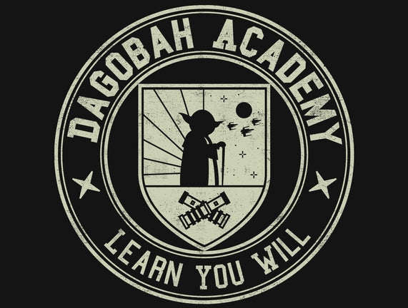 Higher Education System