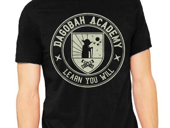 Higher Education System