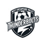 WCV Thunderbolts-Mens-Premium-Tee-teesgeex