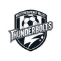 WCV Thunderbolts-Youth-Crew Neck-Sweatshirt-teesgeex