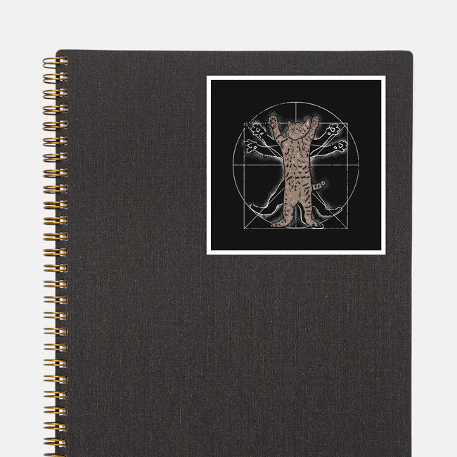 Vitruvian Cat-None-Glossy-Sticker-turborat14