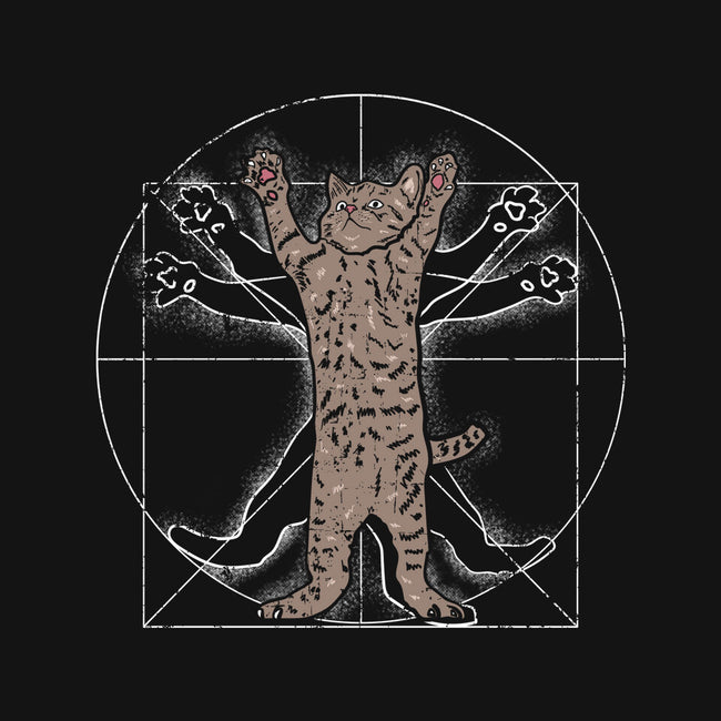 Vitruvian Cat-Womens-V-Neck-Tee-turborat14