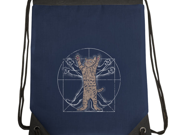 Vitruvian Cat