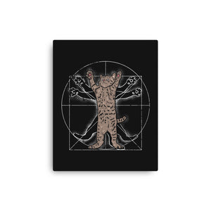 Vitruvian Cat