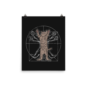 Vitruvian Cat