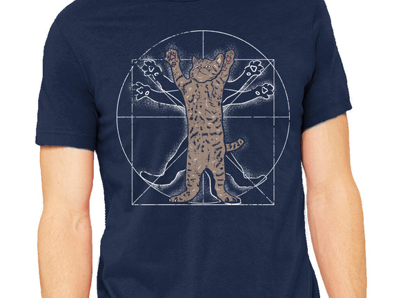 Vitruvian Cat