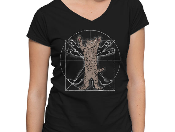 Vitruvian Cat