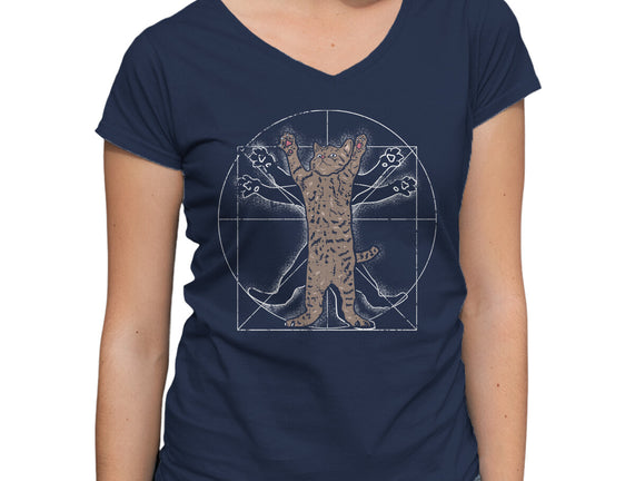 Vitruvian Cat