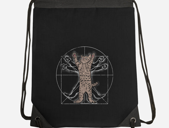 Vitruvian Cat
