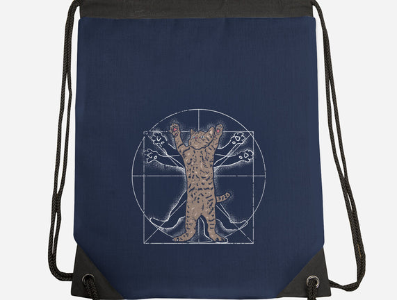Vitruvian Cat