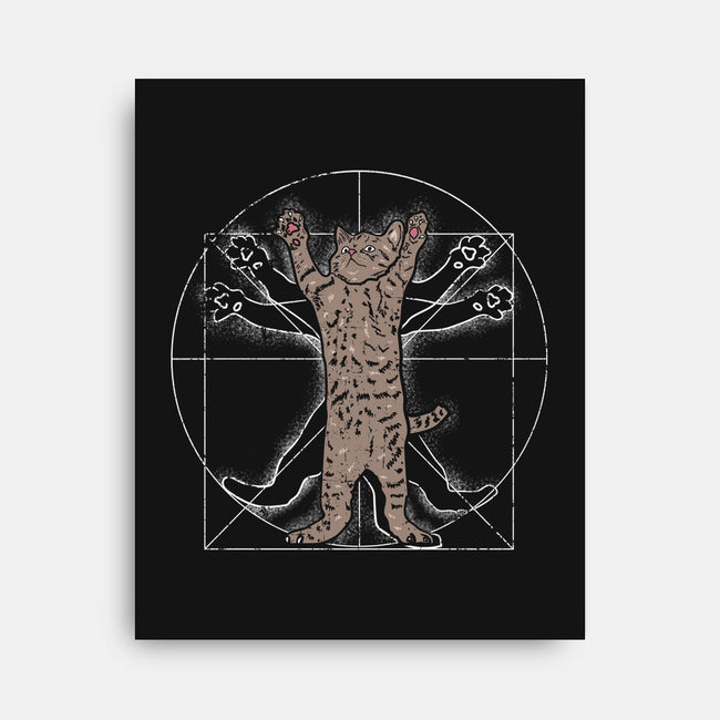 Vitruvian Cat-None-Stretched-Canvas-turborat14