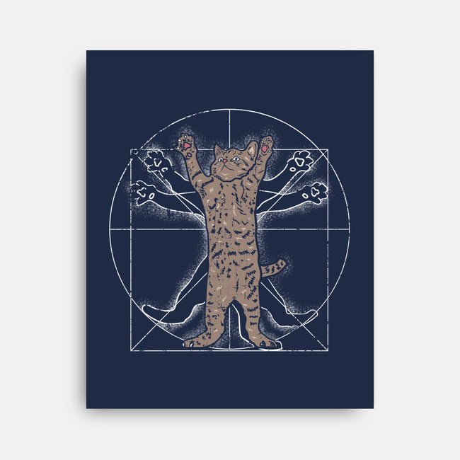Vitruvian Cat-None-Stretched-Canvas-turborat14