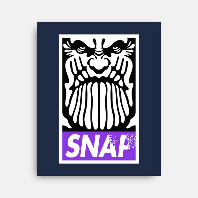 Snap-None-Stretched-Canvas-demonigote