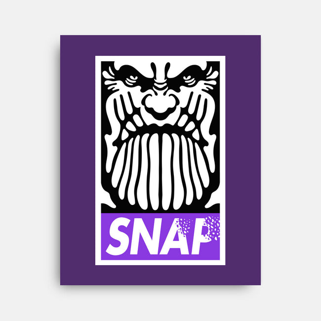Snap-None-Stretched-Canvas-demonigote