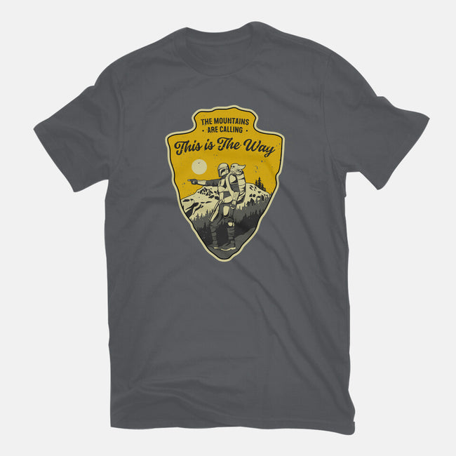The Way To The Mountains-Mens-Premium-Tee-retrodivision