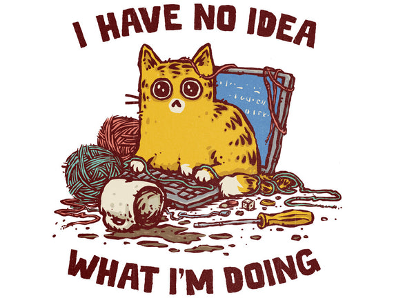 I Have No Idea What I Am Doing