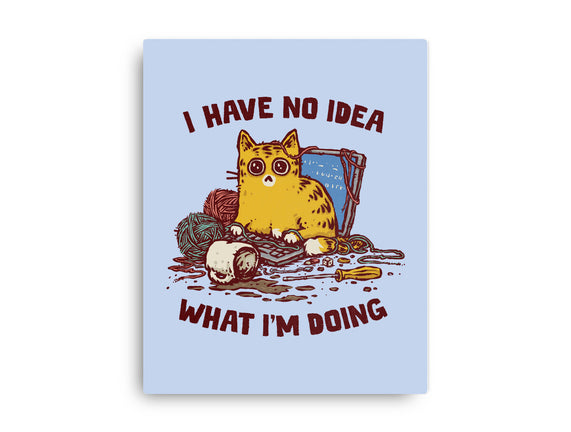 I Have No Idea What I Am Doing
