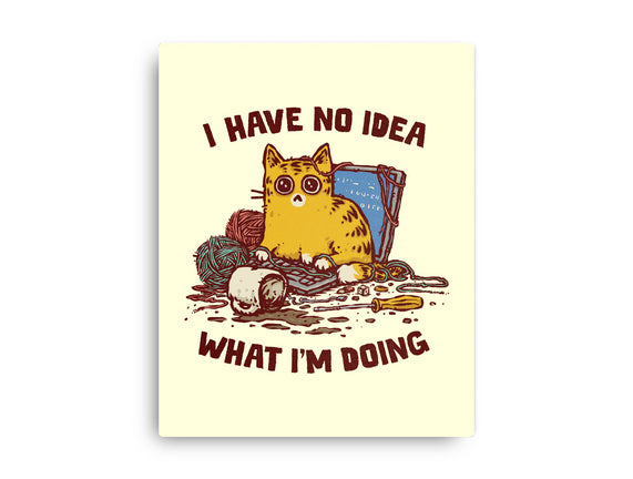 I Have No Idea What I Am Doing