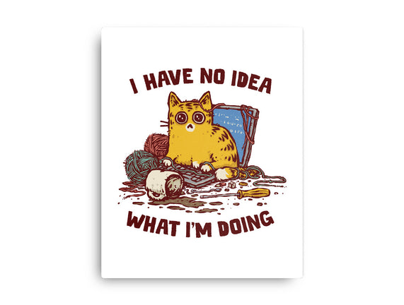 I Have No Idea What I Am Doing