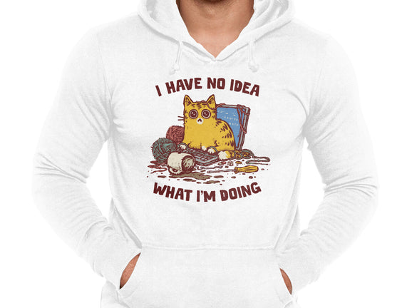 I Have No Idea What I Am Doing