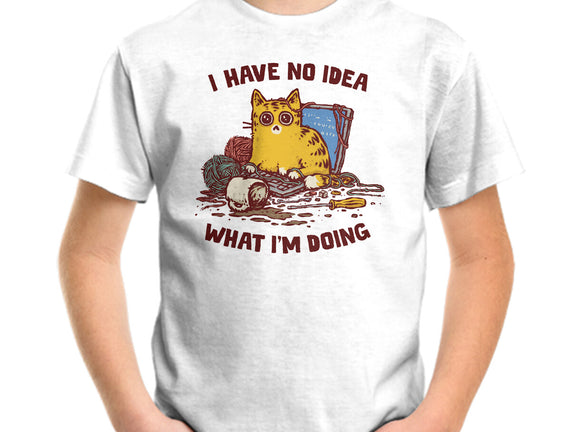 I Have No Idea What I Am Doing
