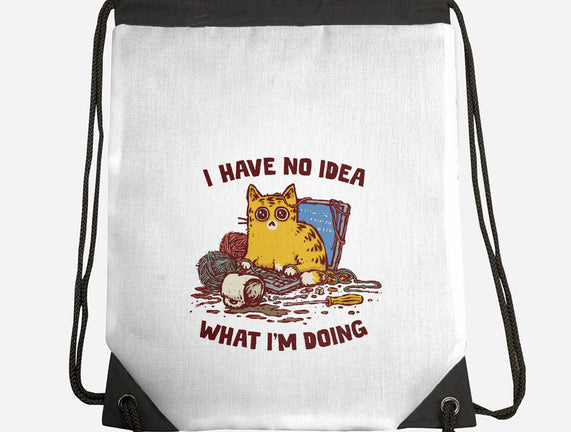 I Have No Idea What I Am Doing