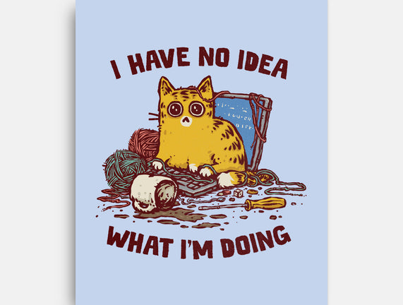I Have No Idea What I Am Doing