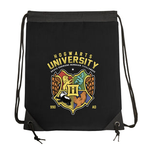 Hogwarts University