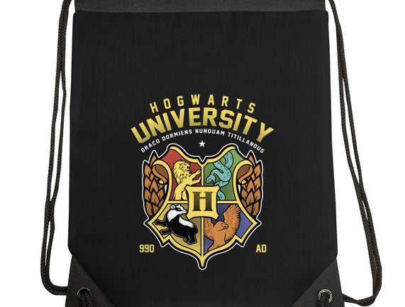 Hogwarts University