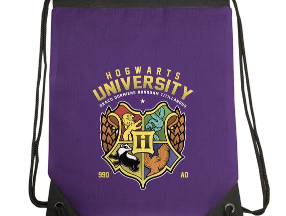 Hogwarts University
