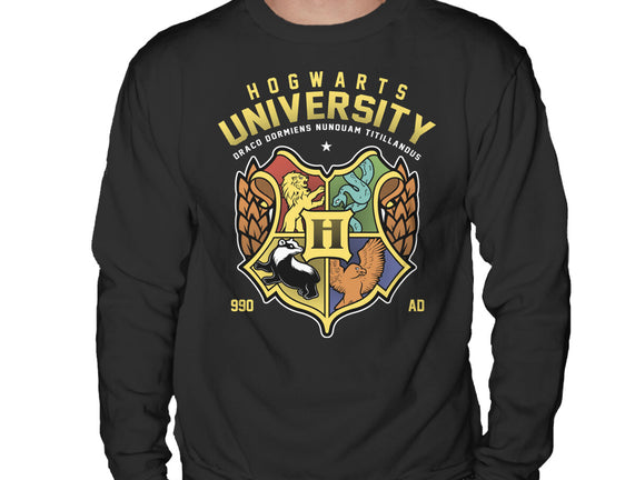 Hogwarts University