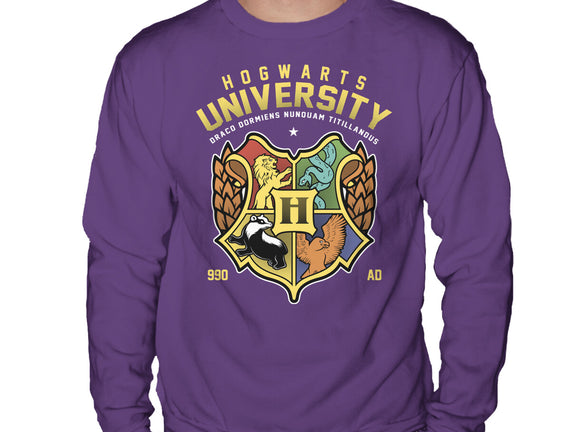 Hogwarts University