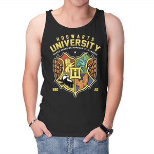 Hogwarts University