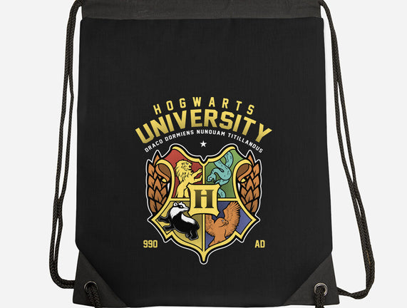 Hogwarts University