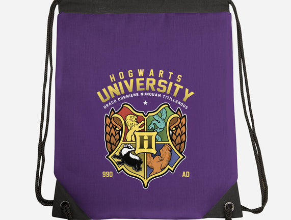 Hogwarts University