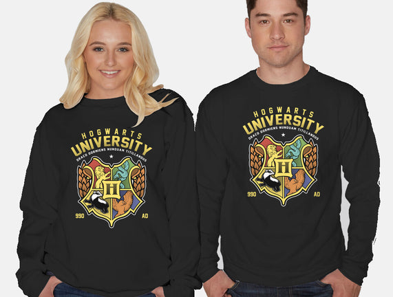 Hogwarts University