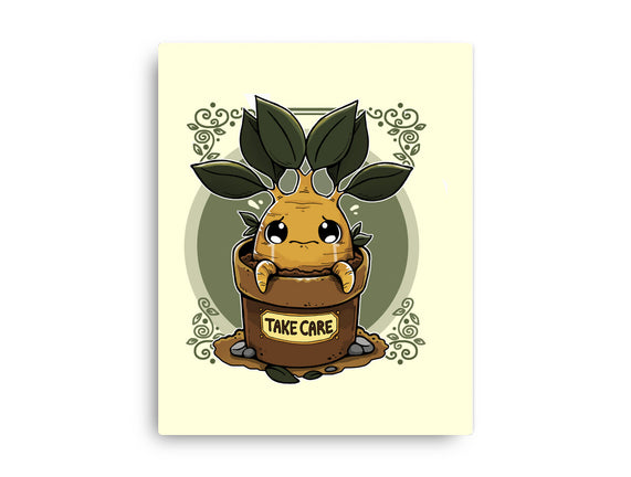 Mandrake