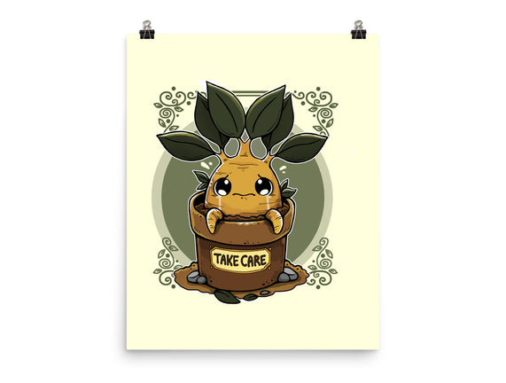 Mandrake