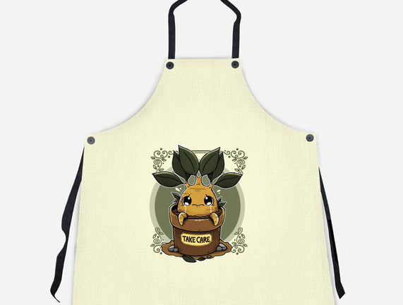 Mandrake