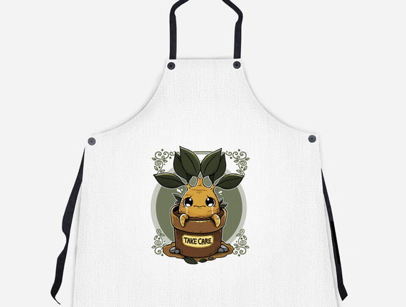 Mandrake
