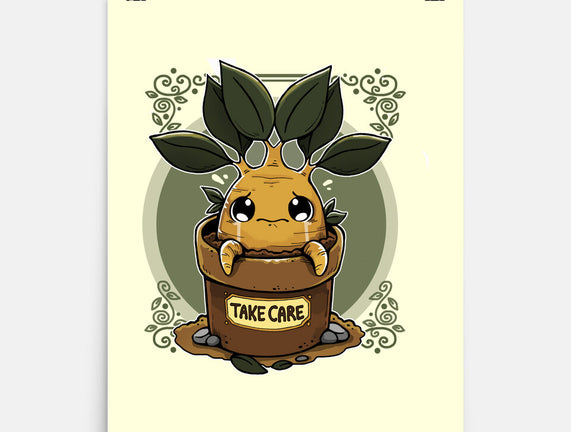 Mandrake