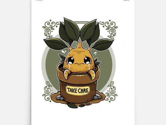 Mandrake