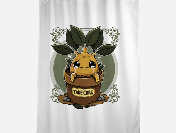 Mandrake