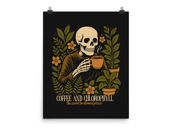 Coffee And Chlorophyll