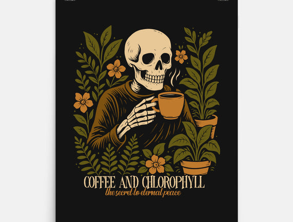 Coffee And Chlorophyll
