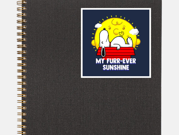 Furr Ever Sunshine
